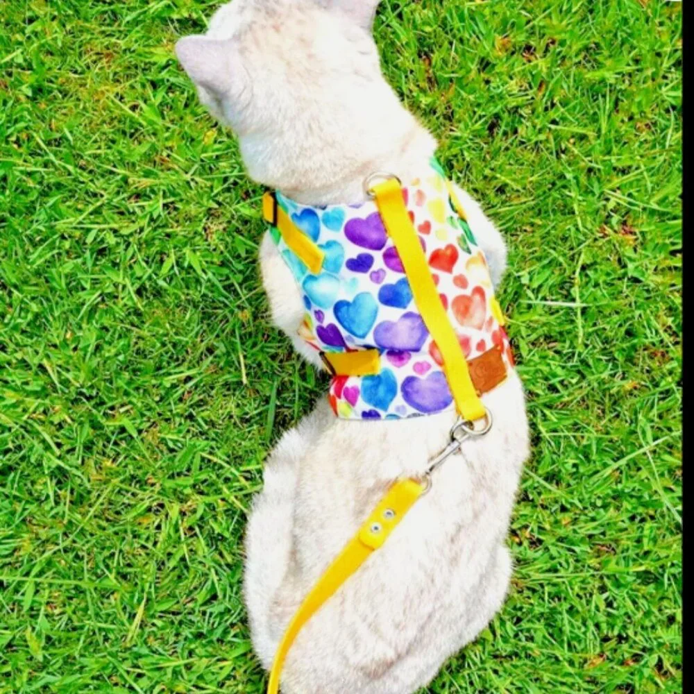 PATIPATRON Cat Harness and Leash Set Cats Escape Proof Adjustable Size M